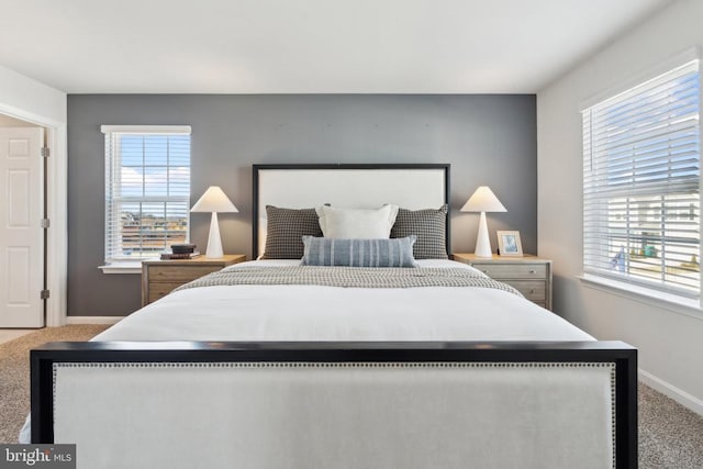 100 Rae Ct, Luray, VA 22835 - carpeted bedroom featuring baseboards and multiple windows