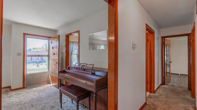 338 Fairfax Ave, Elkton, VA 22827 - hall with carpet flooring and baseboards