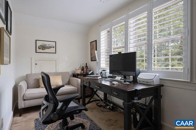 25 Bolling Cir, Palmyra, VA 22963 - office featuring vaulted ceiling, healthy amount of natural light, and carpet
