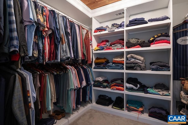 25 Bolling Cir, Palmyra, VA 22963 - spacious closet featuring carpet