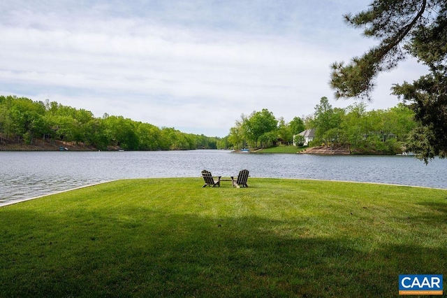 25 Bolling Cir, Palmyra, VA 22963 - water view