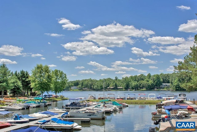 25 Bolling Cir, Palmyra, VA 22963 - property view of water featuring a boat dock