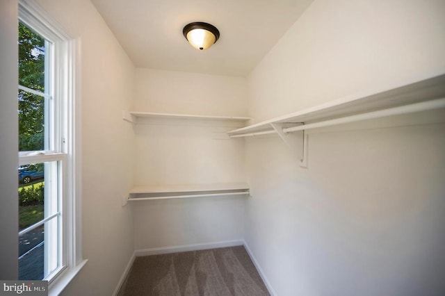 10502 Watford Ln, Fredericksburg, VA 22408