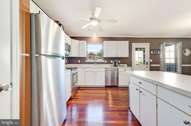 15605 Cedar Tree Ct, Mineral, VA 23117 - kitchen featuring stainless steel appliances, dark wood finished floors, light countertops, ceiling fan, and ornamental molding