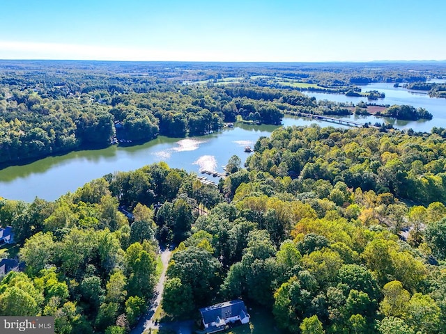 15605 Cedar Tree Ct, Mineral, VA 23117 - bird's eye view of a large body of water