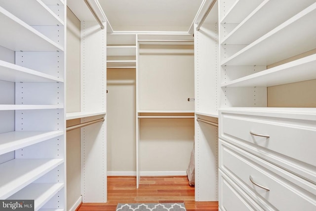 15605 Cedar Tree Ct, Mineral, VA 23117 - walk in closet featuring light wood-style flooring