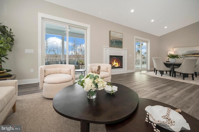 573 Sunset Loop, Mineral, VA 23117 - living room featuring wood finished floors, recessed lighting, a warm lit fireplace, and lofted ceiling
