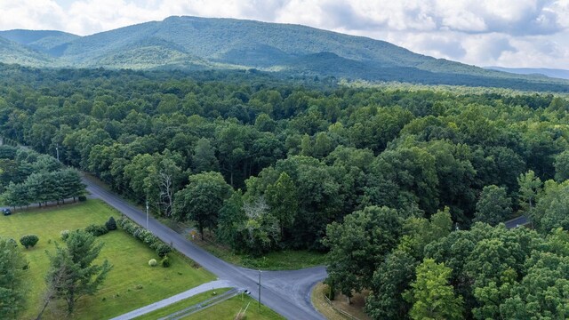 TBD Crimora Mine Rd, Crimora, VA 24431 - photo 11