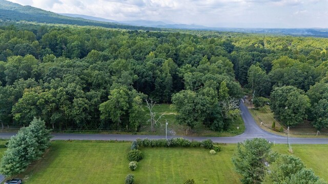 TBD Crimora Mine Rd, Crimora, VA 24431 - photo 10
