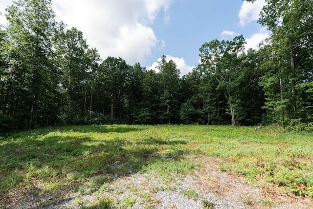 TBD Crimora Mine Rd, Crimora, VA 24431 - photo 2