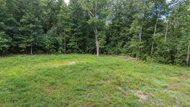 TBD Crimora Mine Rd, Crimora, VA 24431 - photo 3