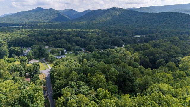TBD Crimora Mine Rd, Crimora, VA 24431 - photo 12