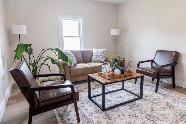 519 Arpia St, Lexington, VA 24450 - living area with light wood-style flooring and baseboards