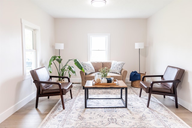 519 Arpia St, Lexington, VA 24450 - living area featuring light wood-style floors and baseboards
