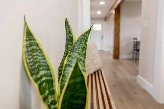 519 Arpia St, Lexington, VA 24450 - detailed view of wood finished floors, recessed lighting, and baseboards