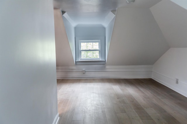519 Arpia St, Lexington, VA 24450 - additional living space featuring wood finished floors and vaulted ceiling