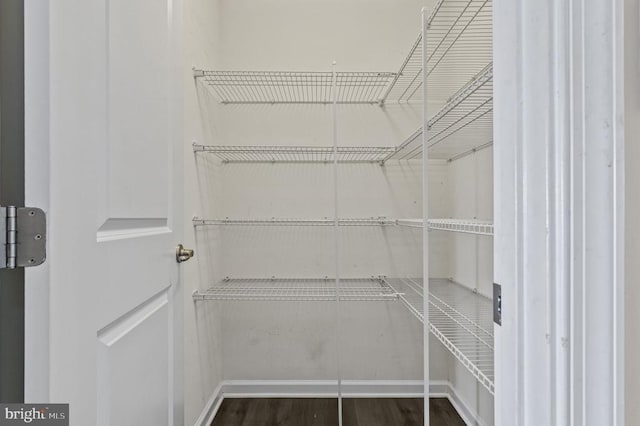 9105 Wild Spruce Dr, Fredericksburg, VA 22407 - spacious closet featuring wood finished floors