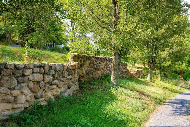 2732 Mountain Valley Rd, Va, VA 22832 - view of yard
