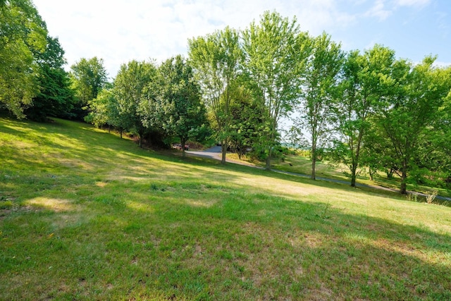 2732 Mountain Valley Rd, Va, VA 22832 - view of yard