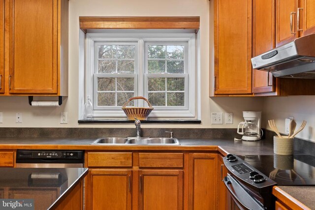 6005 Page Valley Rd, Luray, VA 22835 - kitchen featuring black appliances, under cabinet range hood, a sink, dark countertops, and brown cabinetry