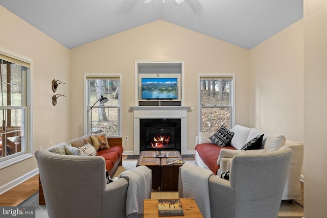 6005 Page Valley Rd, Luray, VA 22835 - living room with wood finished floors, vaulted ceiling, a ceiling fan, healthy amount of natural light, and a glass covered fireplace
