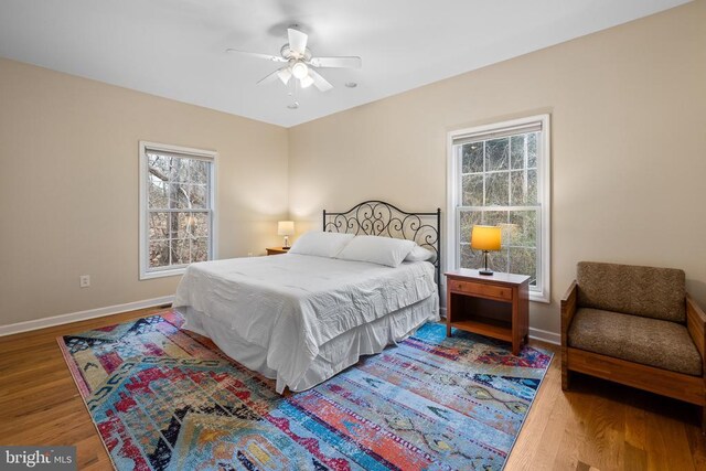6005 Page Valley Rd, Luray, VA 22835 - bedroom featuring multiple windows, wood finished floors, and baseboards