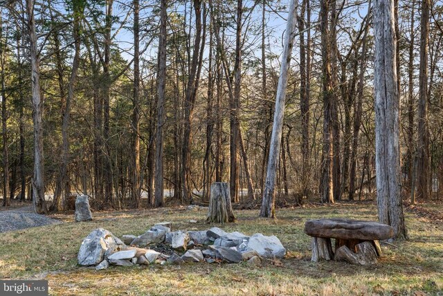 6005 Page Valley Rd, Luray, VA 22835 - view of yard