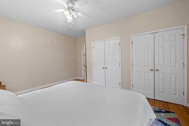 6005 Page Valley Rd, Luray, VA 22835 - bedroom with multiple closets, wood finished floors, baseboards, and a ceiling fan