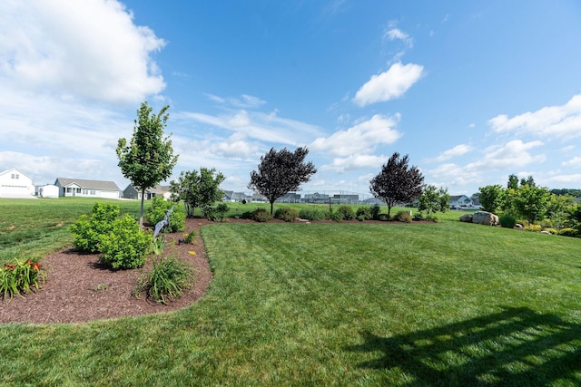 193 Locust Grove Ln, Stuarts Draft, VA 24477 - view of green lawn