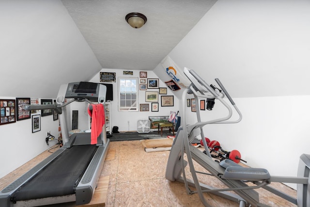 193 Locust Grove Ln, Stuarts Draft, VA 24477 - exercise room with vaulted ceiling