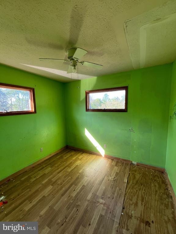 3721 W Hoover Rd, Haywood, VA 22722