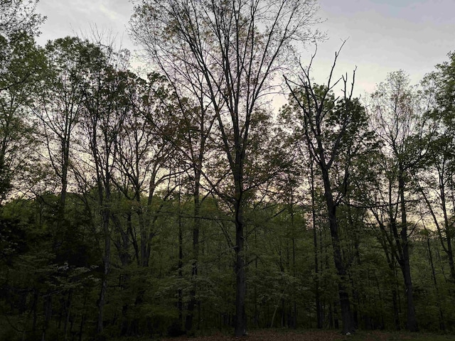 209 Raintree Rd, Verona, VA 24482 - view of wooded area