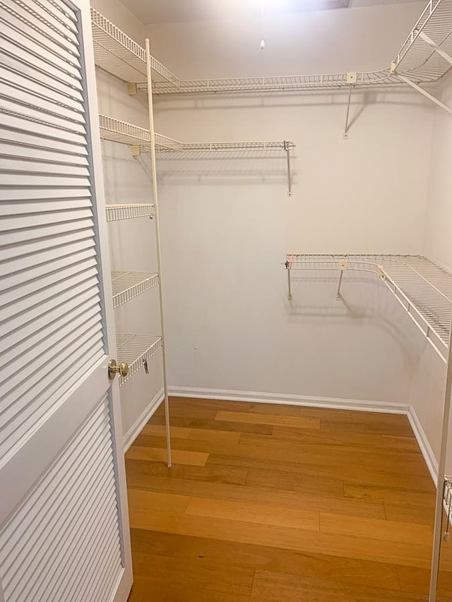209 Raintree Rd, Verona, VA 24482 - spacious closet featuring wood finished floors