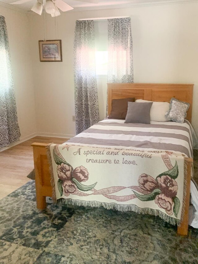 209 Raintree Rd, Verona, VA 24482 - bedroom featuring light wood-style floors and ceiling fan