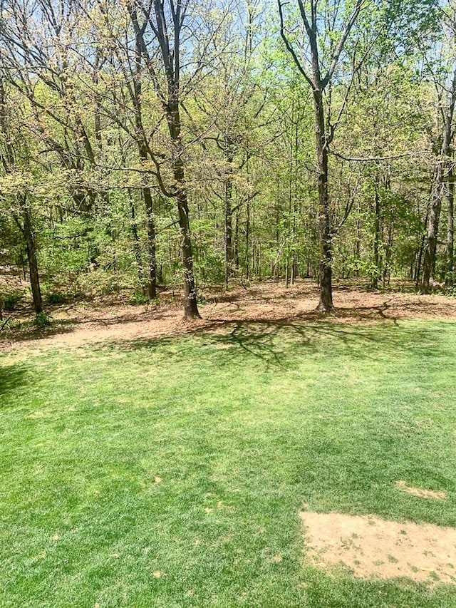 209 Raintree Rd, Verona, VA 24482 - view of grassy yard