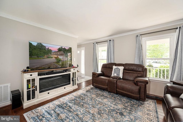11603 Enchanted Woods Way, Fredericksburg, VA 22407 - living area featuring wood finished floors, crown molding, and baseboards