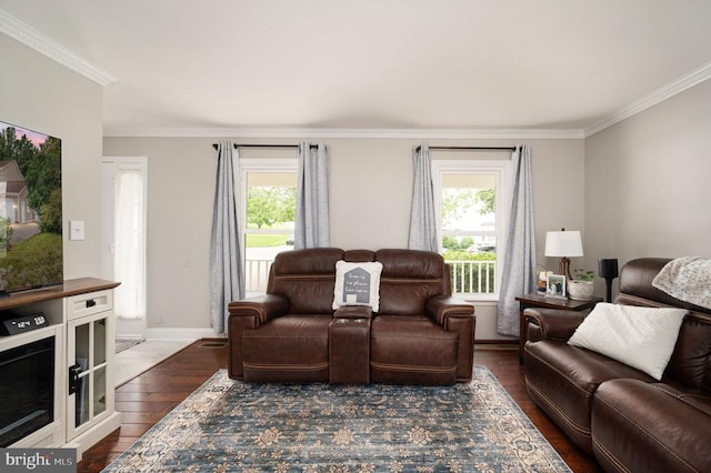 11603 Enchanted Woods Way, Fredericksburg, VA 22407 - living room with plenty of natural light, crown molding, dark wood-style floors, and baseboards