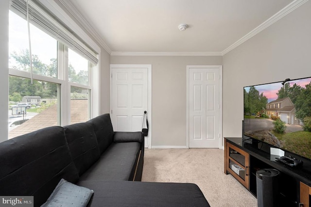 11603 Enchanted Woods Way, Fredericksburg, VA 22407 - living room featuring light carpet, ornamental molding, and baseboards
