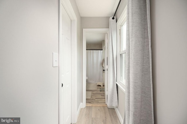 11603 Enchanted Woods Way, Fredericksburg, VA 22407 - hallway with light wood-style floors and baseboards