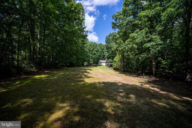 13403 Motts Run Rd, Fredericksburg, VA 22407 - view of grassy yard featuring a view of trees and dirt driveway