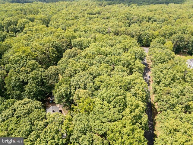 13403 Motts Run Rd, Fredericksburg, VA 22407 - bird's eye view of a heavily wooded area