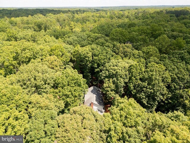 13403 Motts Run Rd, Fredericksburg, VA 22407 - aerial view of a forest