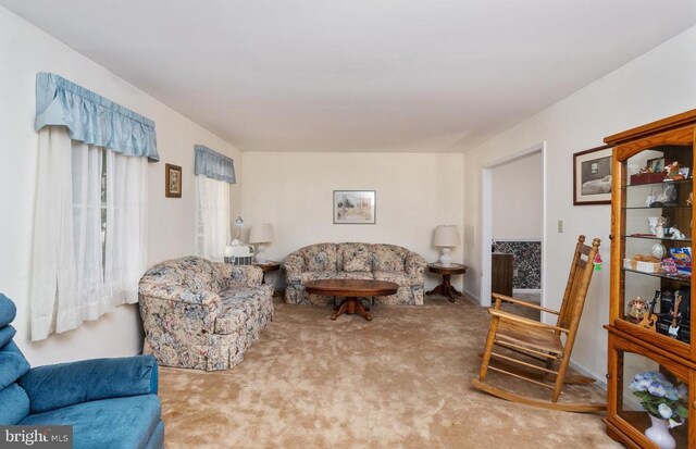 13403 Motts Run Rd, Fredericksburg, VA 22407 - living room featuring carpet