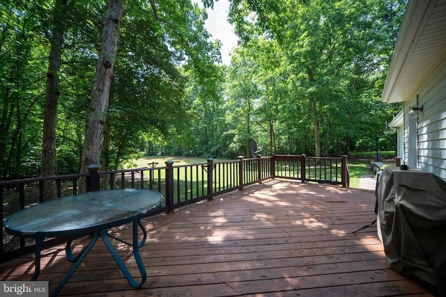 13403 Motts Run Rd, Fredericksburg, VA 22407 - deck with area for grilling and a yard