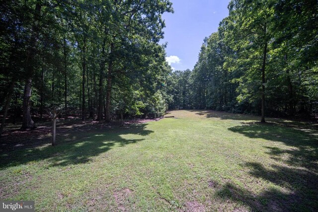 13403 Motts Run Rd, Fredericksburg, VA 22407 - view of green lawn with a view of trees