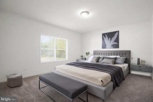 822 Mineral Ave, Mineral, VA 23117 - carpeted bedroom with ornamental molding and baseboards