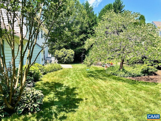 1142 Redfields Rd, Charlottesville, VA 22903 - view of grassy yard