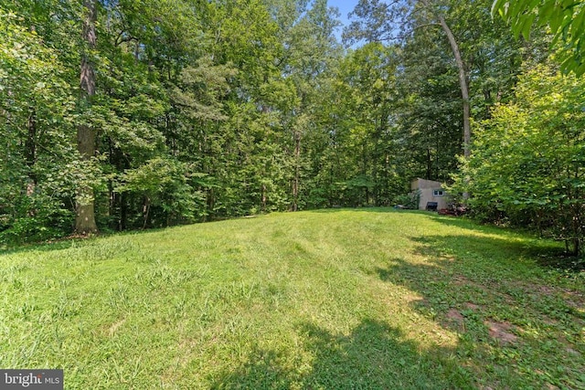 8911 Millwood Dr, Spotsylvania, VA 22551 - photo 37