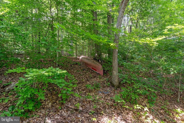 8911 Millwood Dr, Spotsylvania, VA 22551 - photo 40