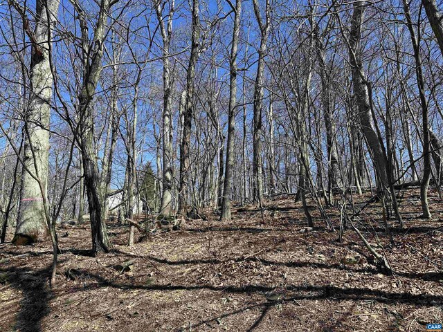 25 Fernwood Ct, Wintergreen Resort, VA 22967
